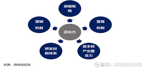 从百倍牛股反思 资本管理的艺术在于长期耐心